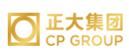 岚山正大集团